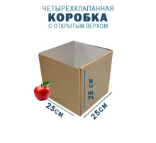 Fefco 200 - Коробка четырехклапанная с открытым верхом 25х25х25 см