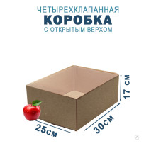 Fefco 200 - Коробка четырехклапанная с открытым верхом 30х25х17 см