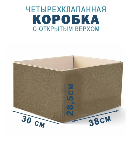 38х30,4х28,5 см