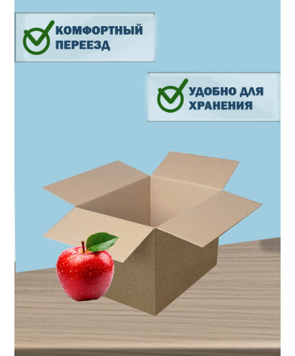 22х17,5х15 см