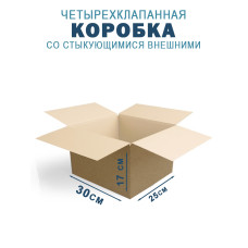 30х25х17 см