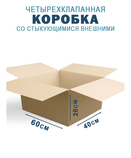 60х40х20 см