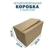 30х22х25 см 