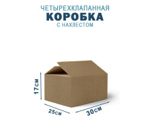 Fefco 202 - Четырехклапанный короб с нахлестом 30х25х17 см 