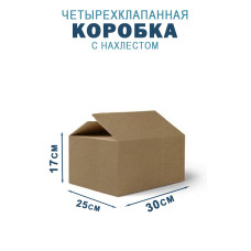 30х25х17 см 