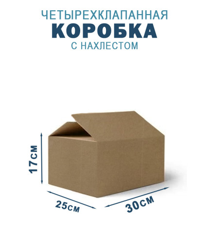30х25х17 см 