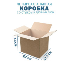 22х17,5х15 см