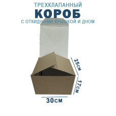 30х25х17 см