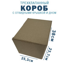 38х25,3х23,7 см