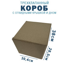 38х30,4х28,5 см