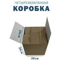 Fefco 2114 - Коробка четырехклапанная с внутренними разделителями 20х20х20 см