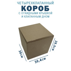 38х30,4х28,5 см